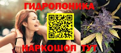 бошки Будённовск